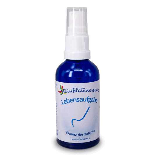 Steinblütenessenz – Lebensaufgabe